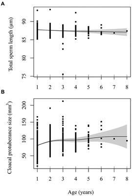 Age-related changes in sperm traits and evidence for aging costs of sperm production in a sexually promiscuous passerine